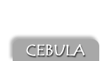 Cebula